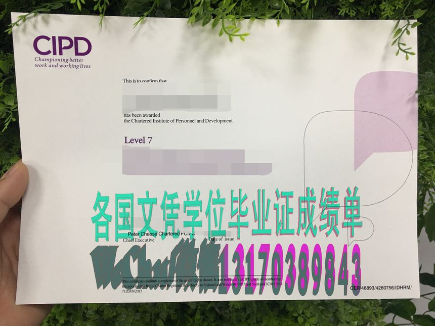 CIPD人力资源管理文凭造假方法