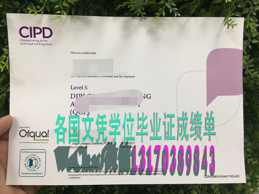 CIPD英国特许人事与发展协会证书哪里能办