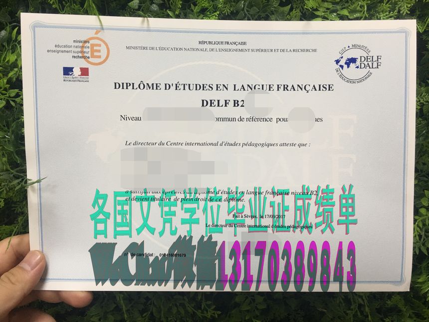 DELF-DALF法语文凭怎么办