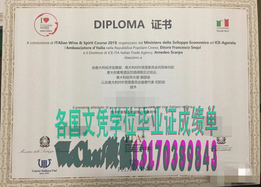 DIPLOMA证书高仿制作