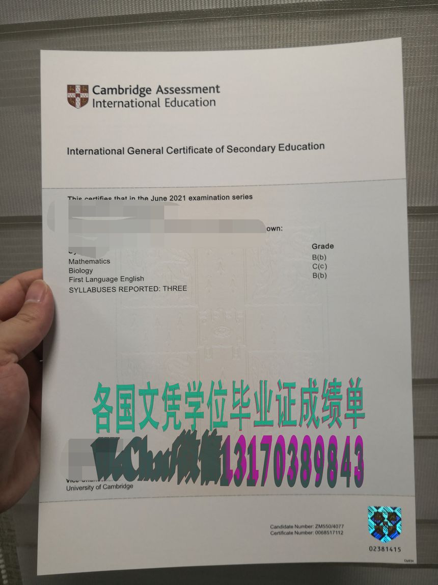 剑桥大学国际教育国际普通中等教育证书哪里能仿制