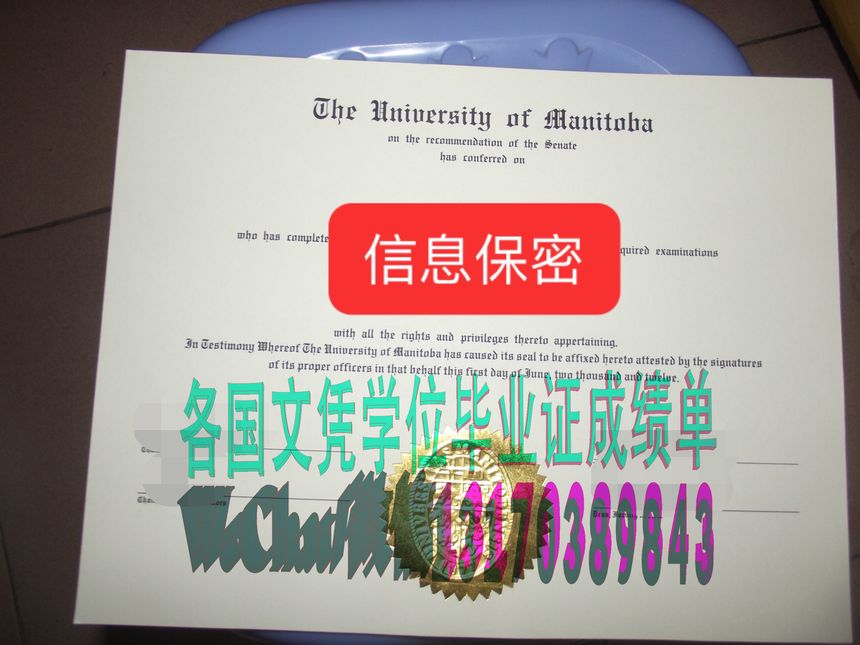 办个假的马尼托巴大学学位证书