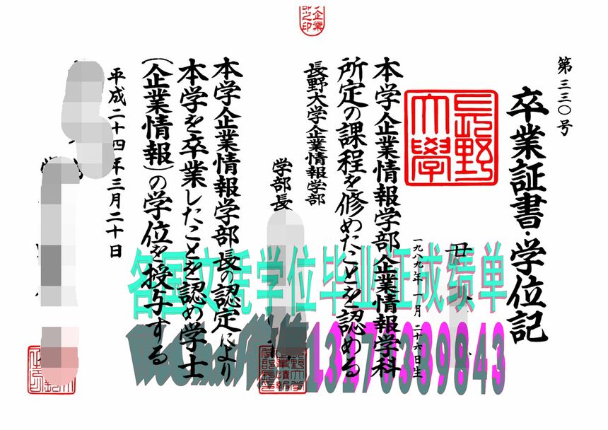 办假的长野大学学位记