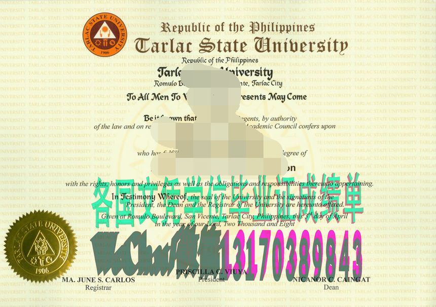 可以做太历国立大学文凭