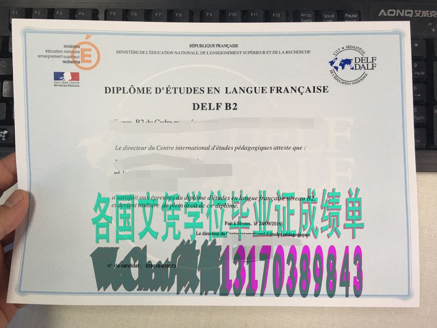 法语学习证书(DELF)高仿制作