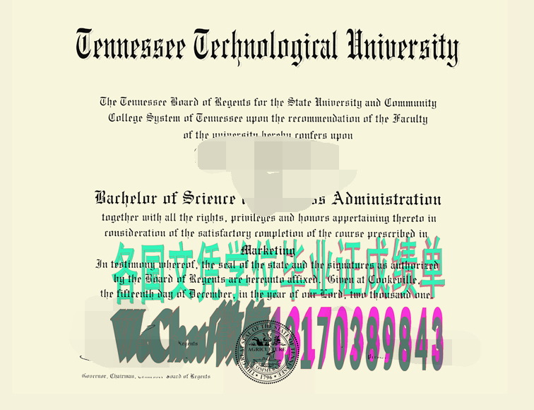 精仿田纳西科技大学毕业证