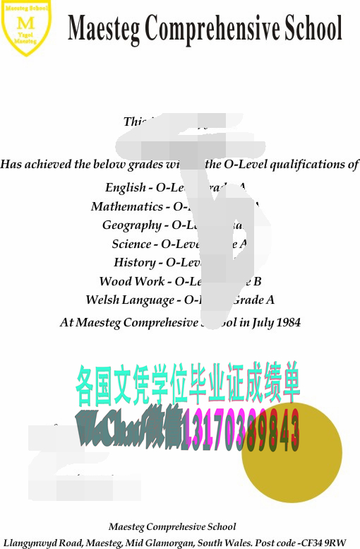 马斯泰格综合学校成绩单能做假吗