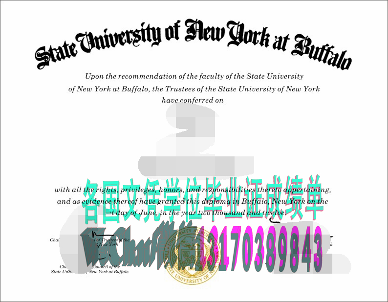 高仿纽约州立大学布法罗分校学位证书