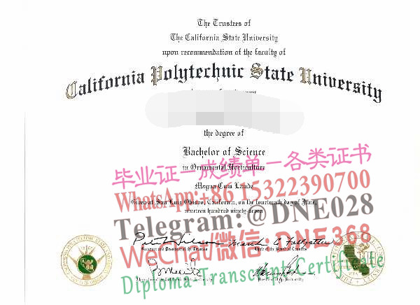 美国加州州立理工大学毕业证样本